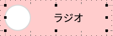 function_manual_radio_n05.png